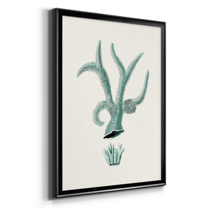 Antique Coastal Coral XII Premium Framed Print - Ready to Hang