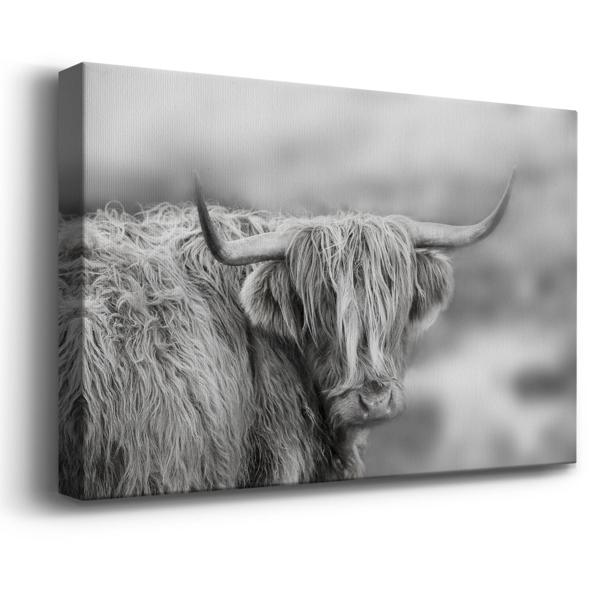 Roaming Isle of Skye Premium Gallery Wrapped Canvas - Ready to Hang