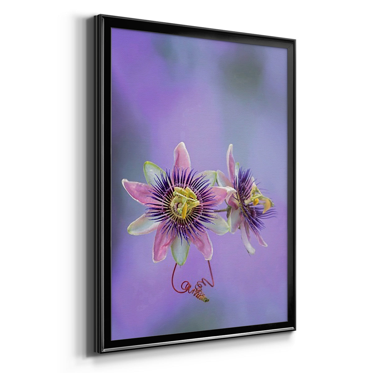 Exotic Flower Burst II Premium Framed Print - Ready to Hang