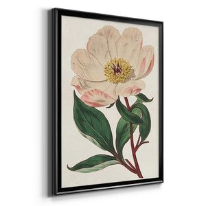 Pink Floral Mix VII Premium Framed Print - Ready to Hang
