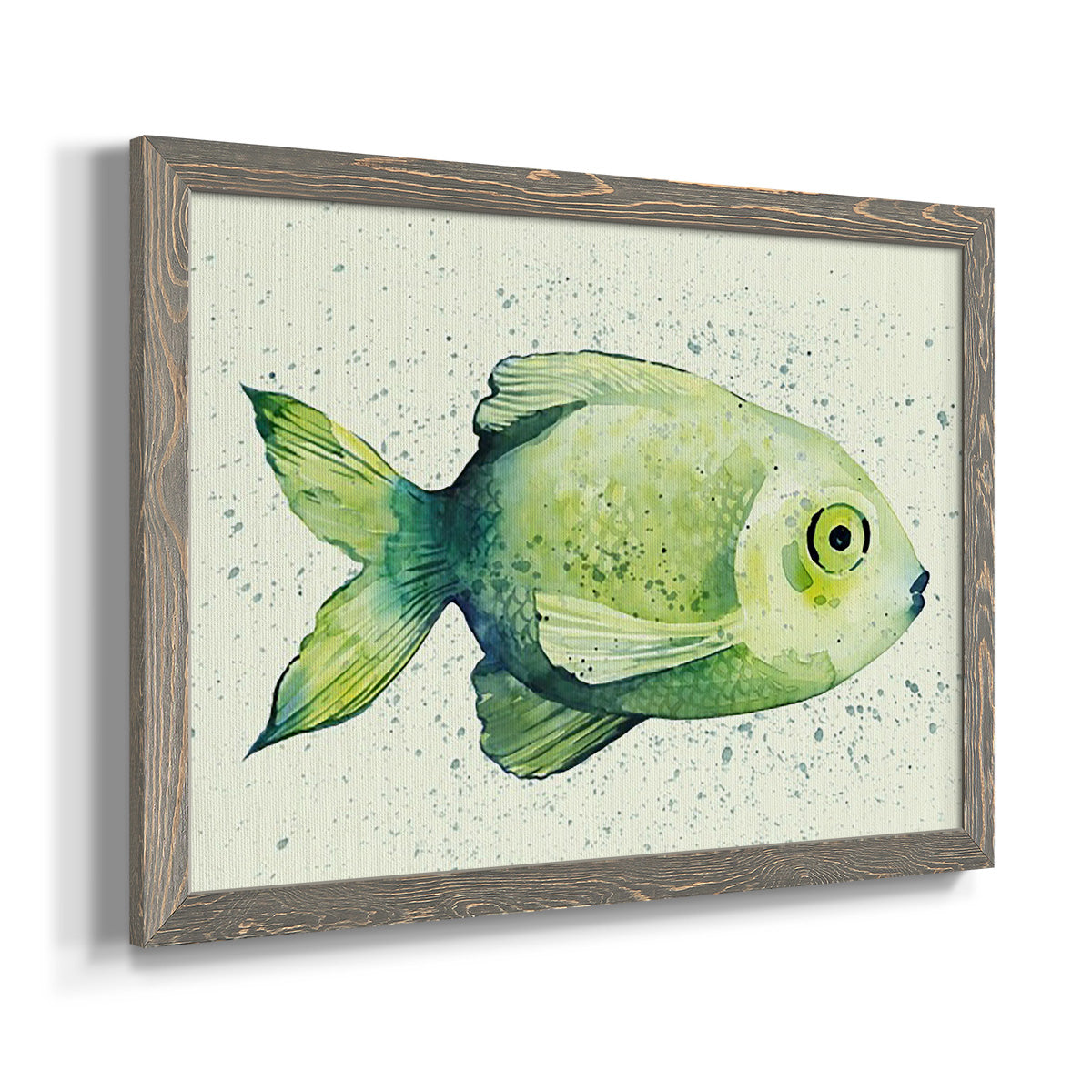 Speckled Freshwater Fish II-Premium Framed Canvas - Ready to Hang