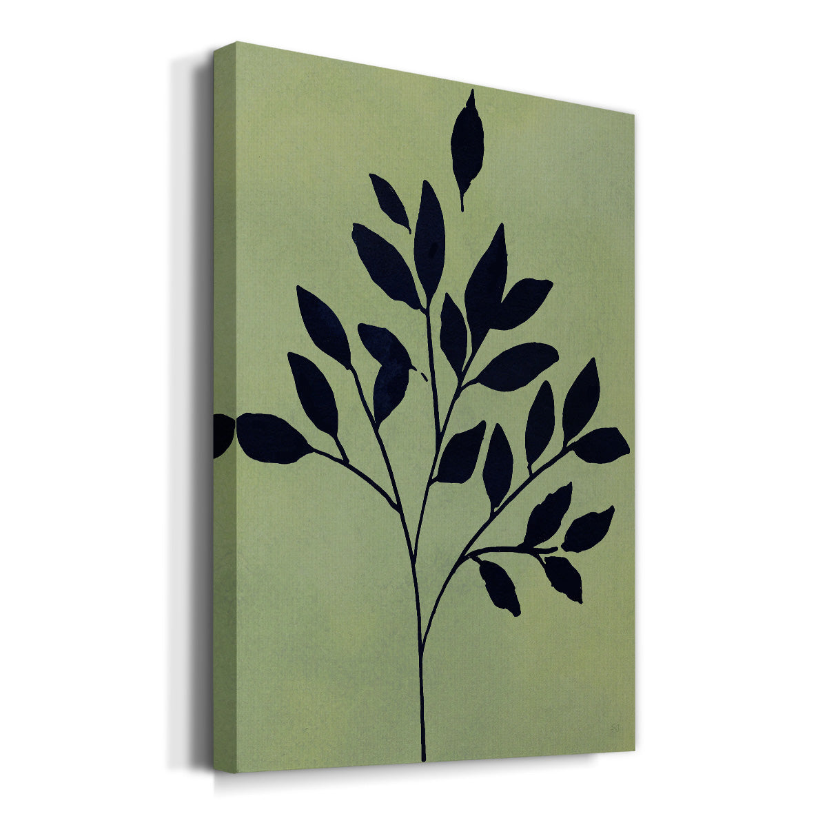 Earthly Botanical I Premium Gallery Wrapped Canvas - Ready to Hang