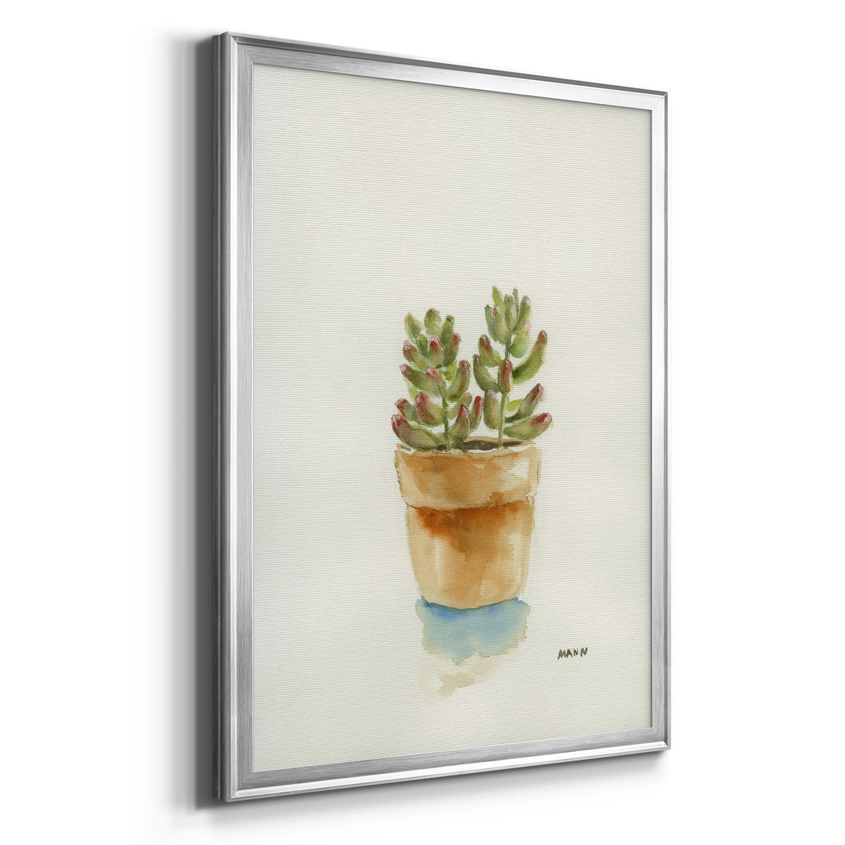 Succulent III Premium Framed Print - Ready to Hang