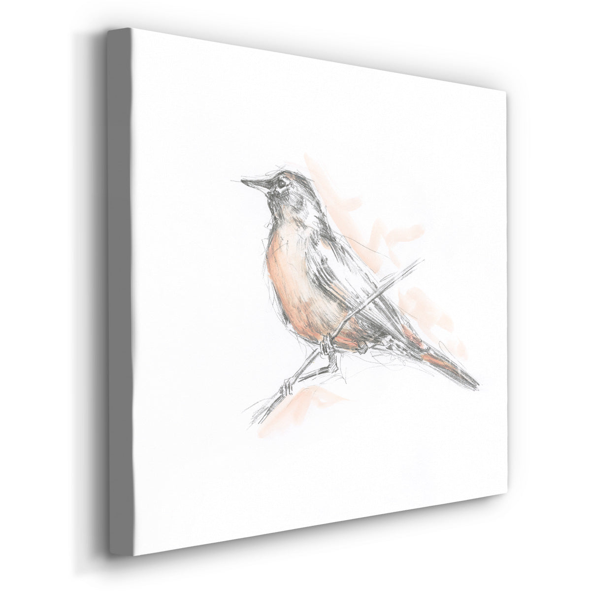 Robin Bird Sketch II-Premium Gallery Wrapped Canvas - Ready to Hang