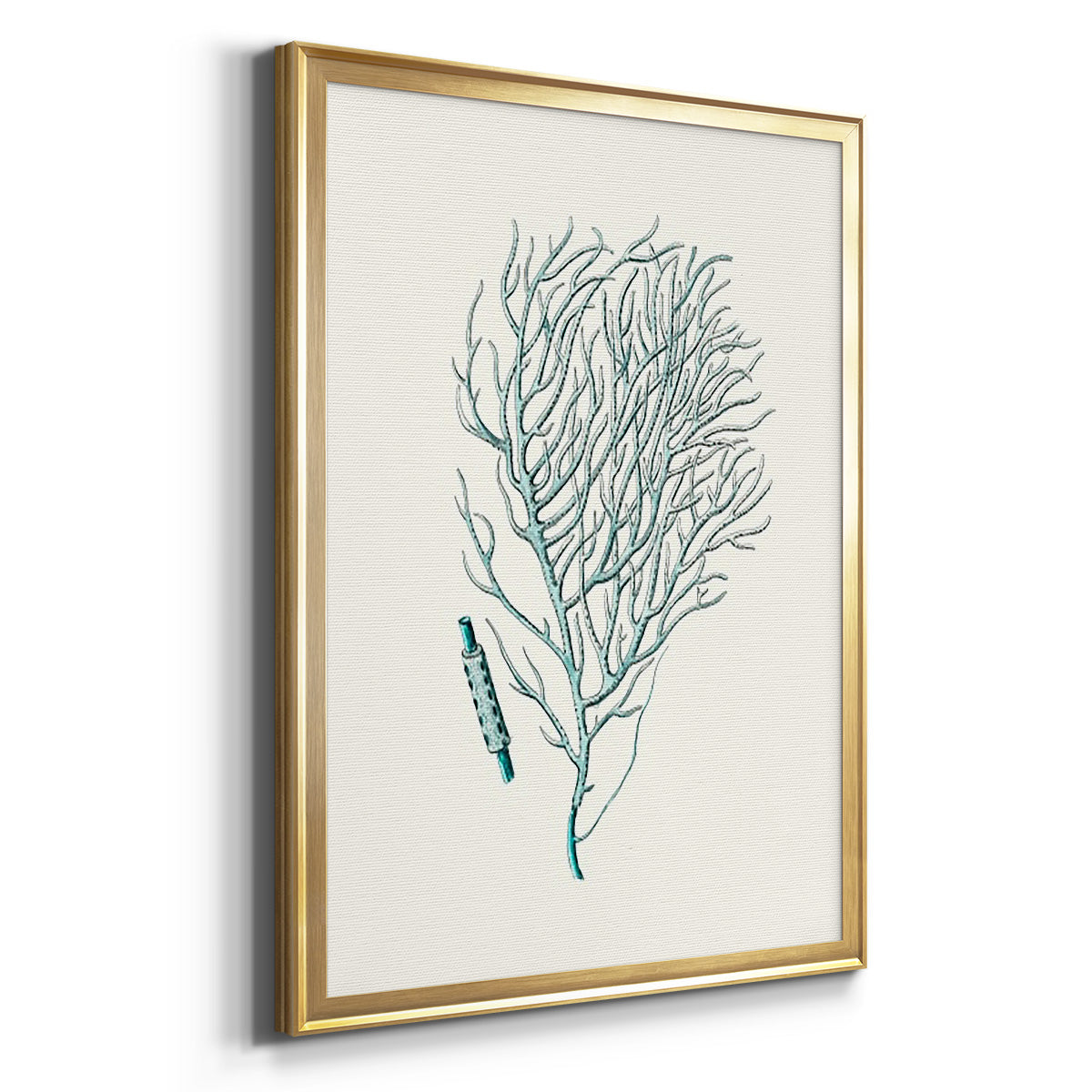 Antique Coastal Coral I Premium Framed Print - Ready to Hang