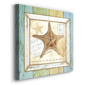 Sea Treasures XII-Premium Gallery Wrapped Canvas - Ready to Hang