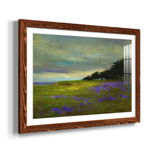 Coastal Views VI-Premium Framed Print - Ready to Hang