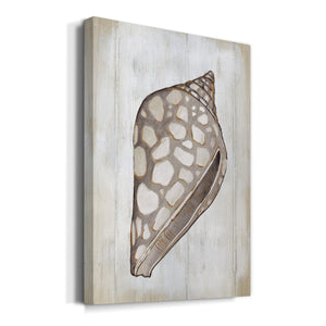 Ocean Cone I Premium Gallery Wrapped Canvas - Ready to Hang