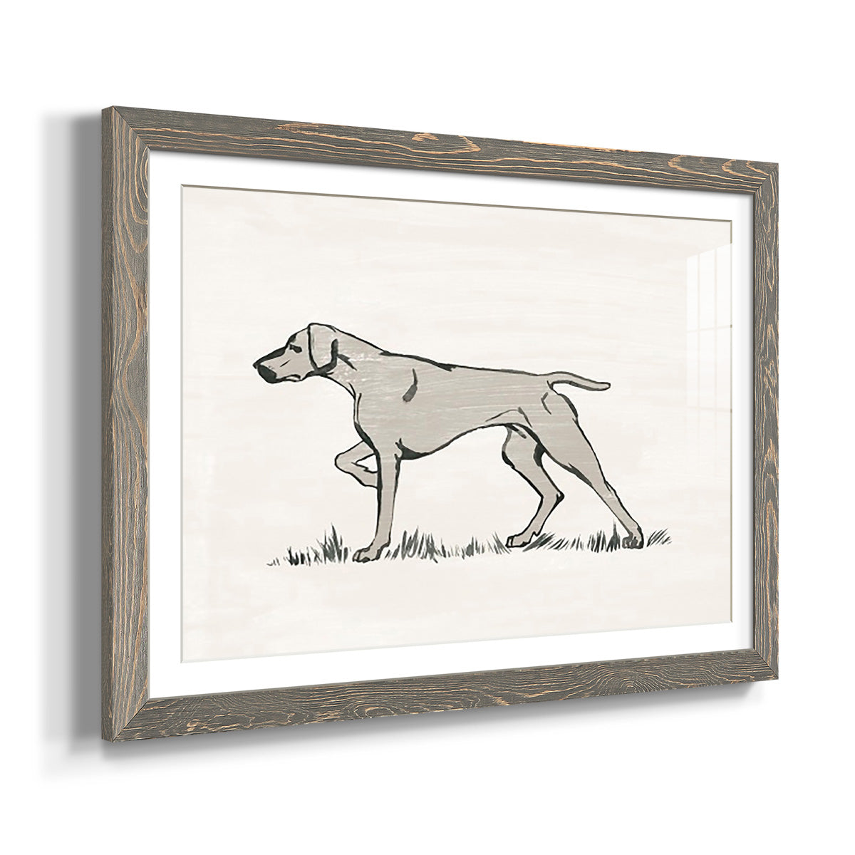 Neutral Pointer II-Premium Framed Print - Ready to Hang