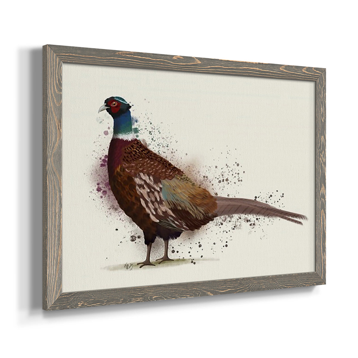 Pheasant Splash 1-Premium Framed Canvas - Ready to Hang