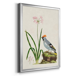 Bird in Habitat II Premium Framed Print - Ready to Hang