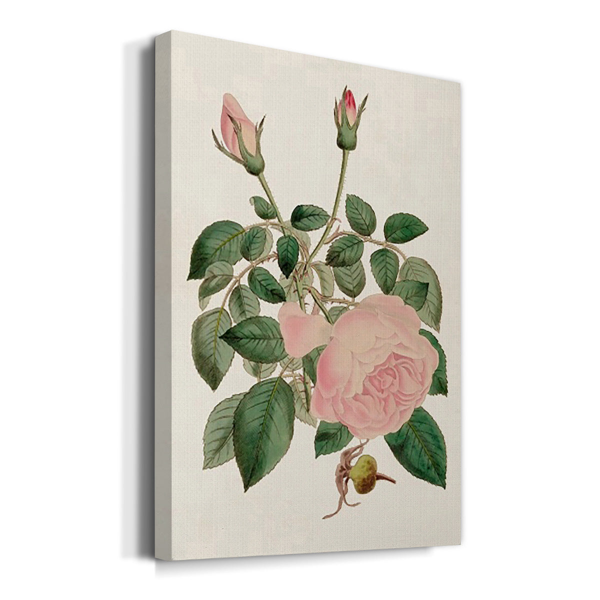 Pink Floral Mix II Premium Gallery Wrapped Canvas - Ready to Hang