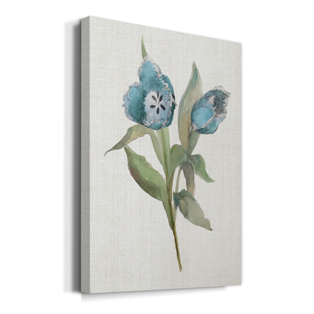 Blue Tulip Picks I Premium Gallery Wrapped Canvas - Ready to Hang