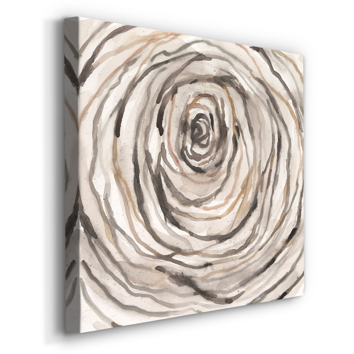 Twisted Branch II-Premium Gallery Wrapped Canvas - Ready to Hang