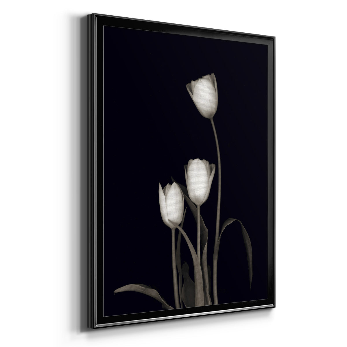 Tulip Pose III Premium Framed Print - Ready to Hang