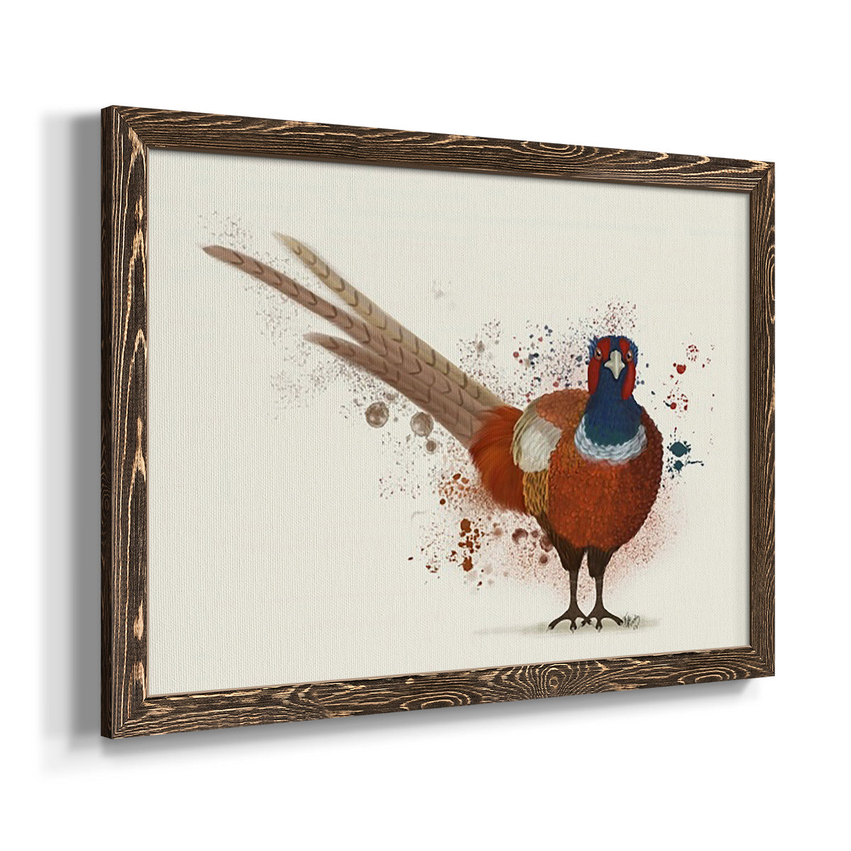 Pheasant Splash 7-Premium Framed Canvas - Ready to Hang