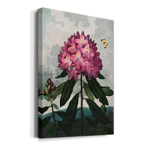 Temple of Flora X Premium Gallery Wrapped Canvas - Ready to Hang