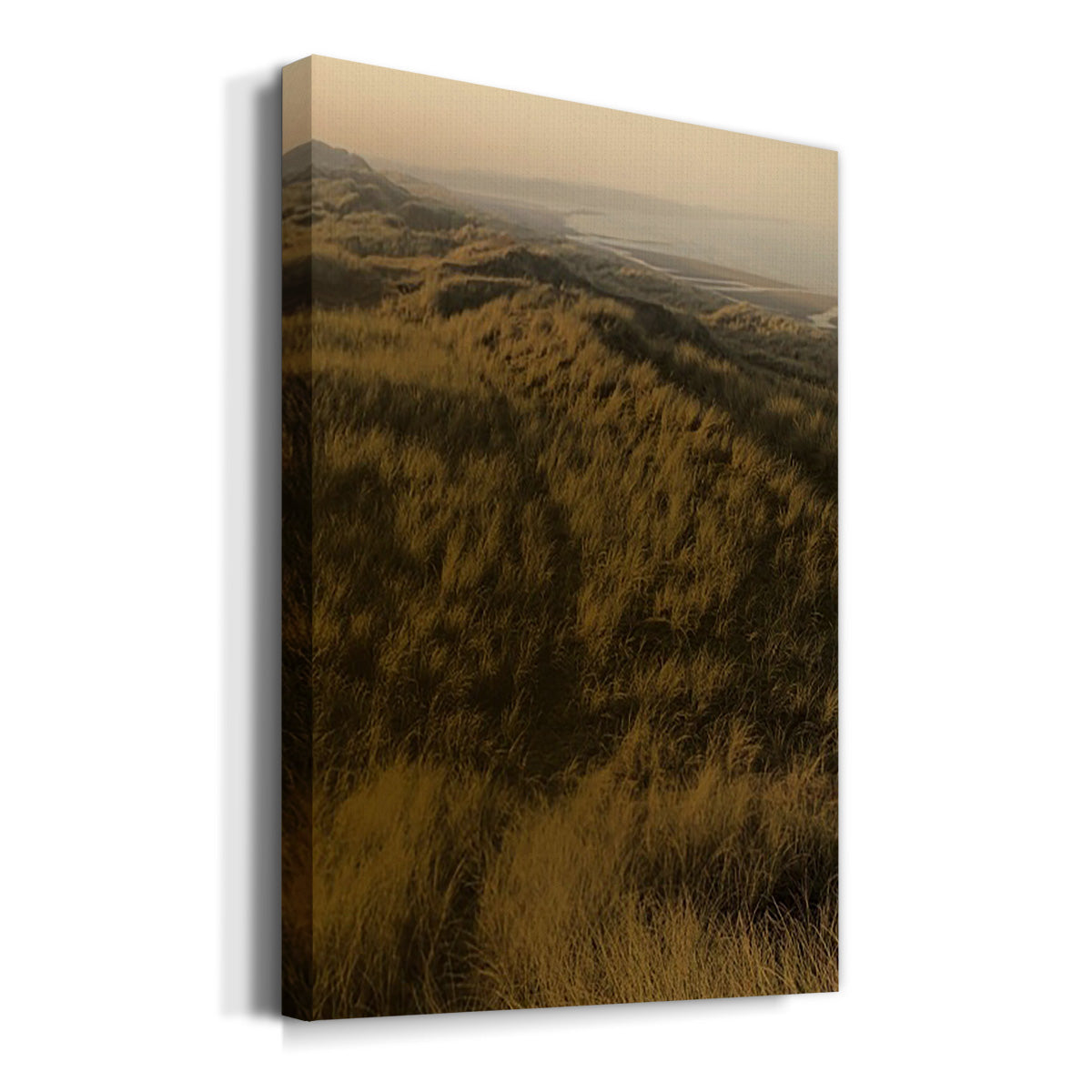 Golden Fog II Premium Gallery Wrapped Canvas - Ready to Hang