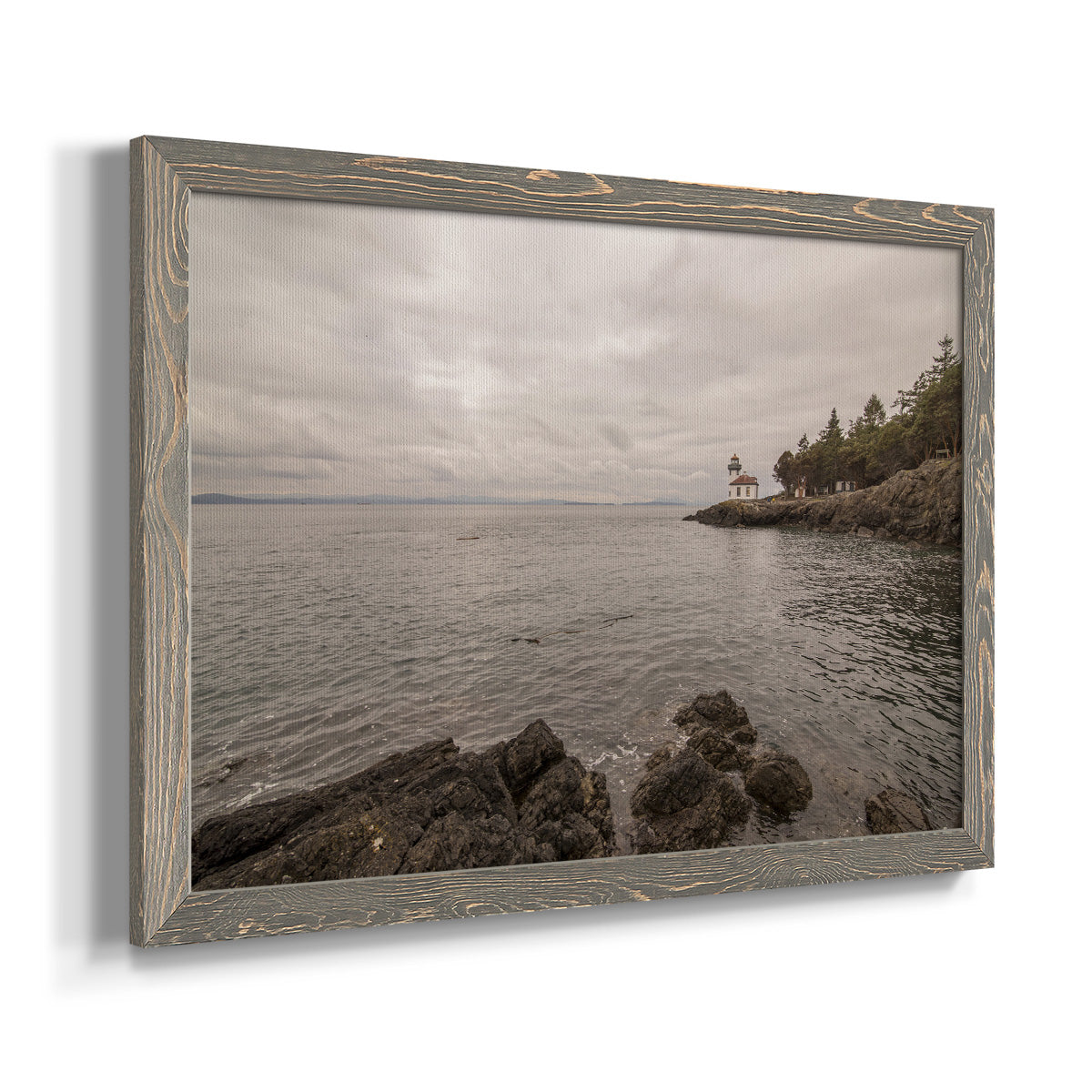 Solitary-Premium Framed Canvas - Ready to Hang