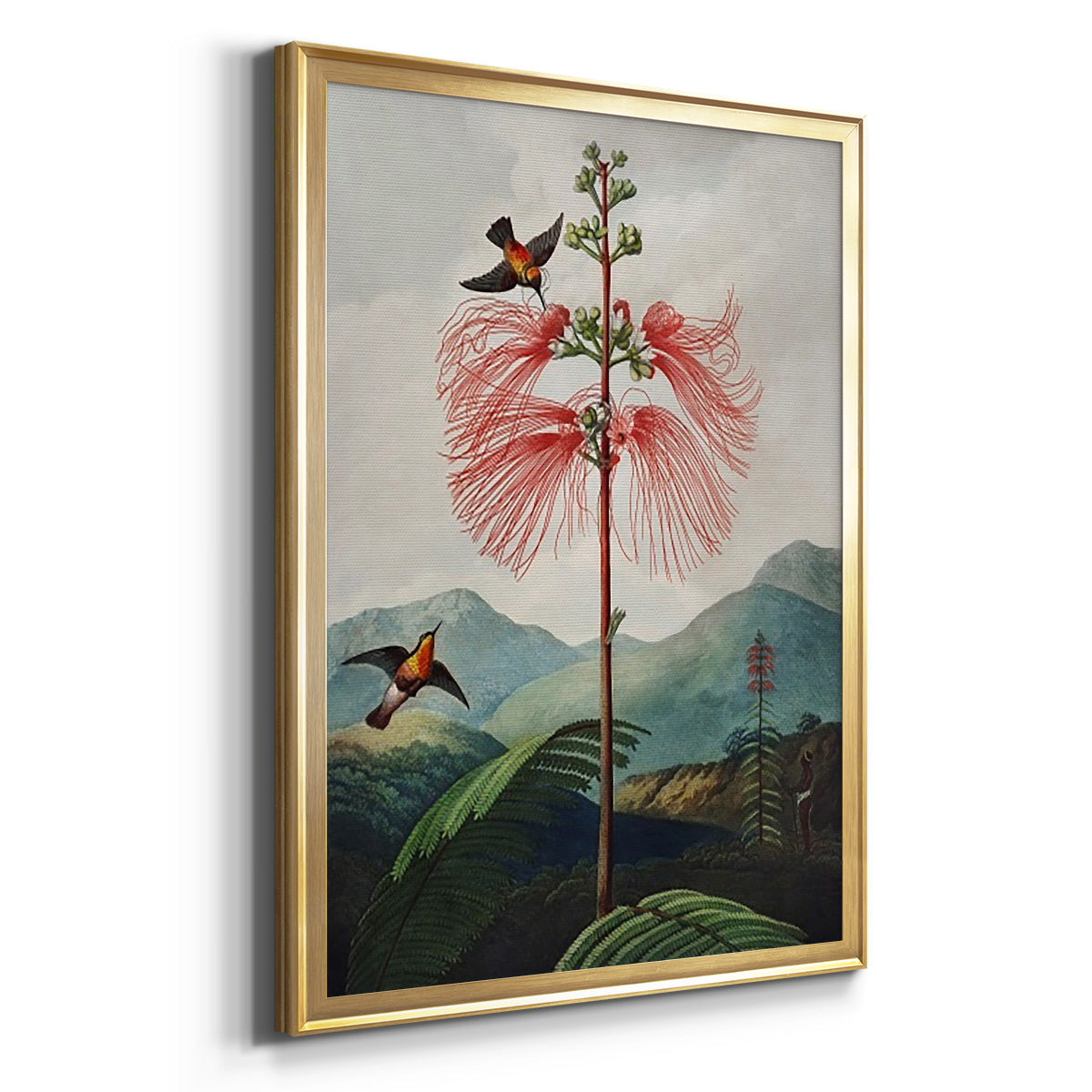 Temple of Flora VIII Premium Framed Print - Ready to Hang