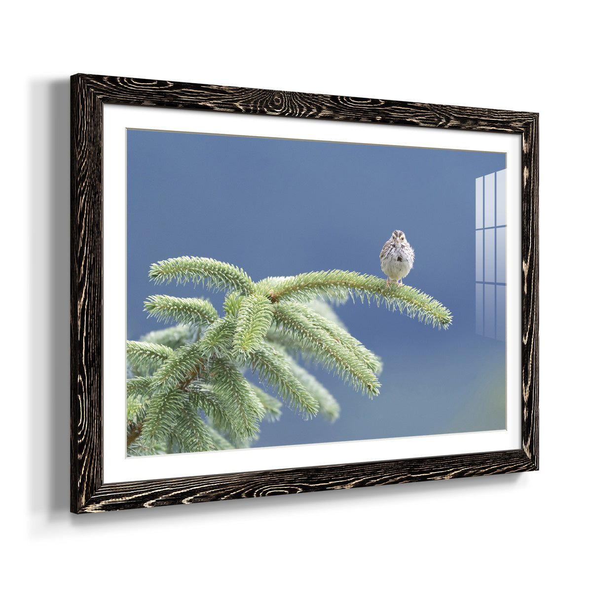 Evergreen Perch-Premium Framed Print - Ready to Hang