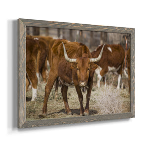 Longhorns-Premium Framed Canvas - Ready to Hang
