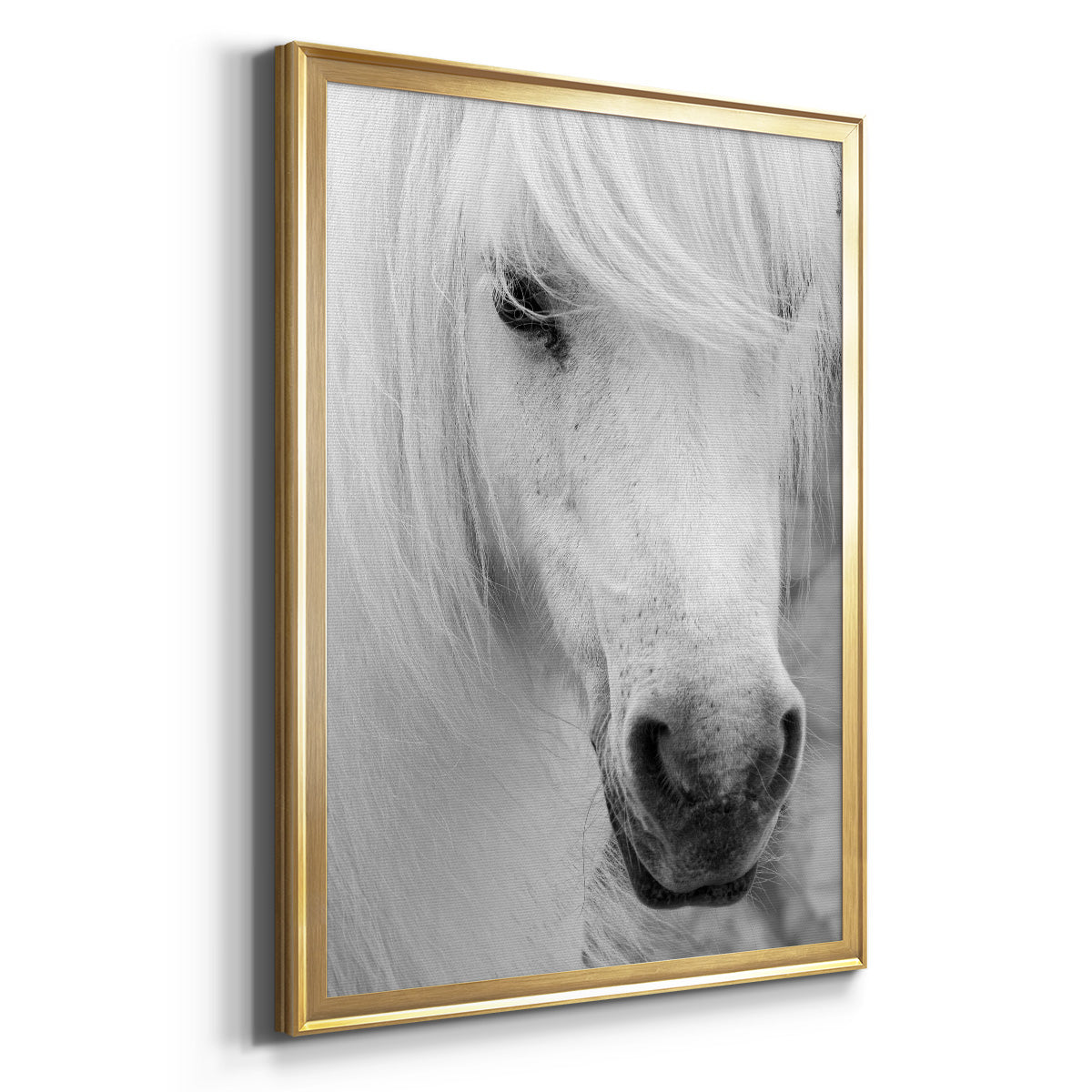 Island Pony I Premium Framed Print - Ready to Hang