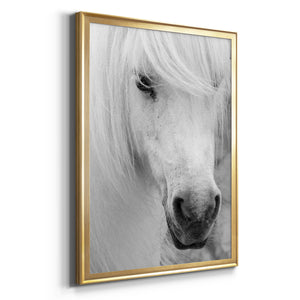 Island Pony I Premium Framed Print - Ready to Hang