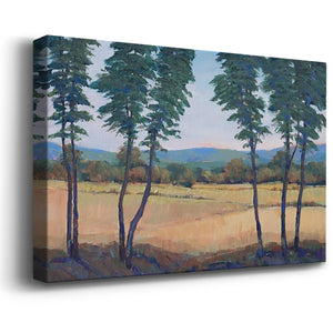 Still Morning II Premium Gallery Wrapped Canvas - Ready to Hang