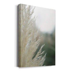 Subtle Grasses I Premium Gallery Wrapped Canvas - Ready to Hang