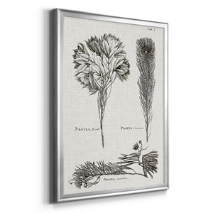 Black & White Protea on Linen I Premium Framed Print - Ready to Hang