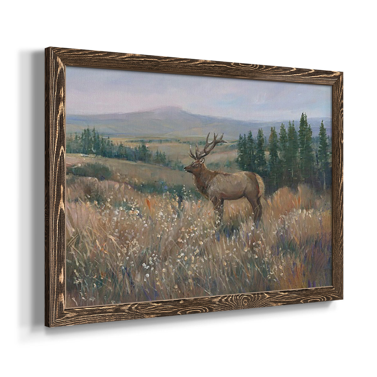 Western Wildlife II-Premium Framed Canvas - Ready to Hang