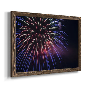 Sky Flower-Premium Framed Canvas - Ready to Hang