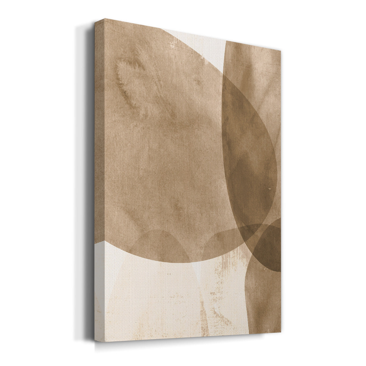 Neutral Object I Premium Gallery Wrapped Canvas - Ready to Hang