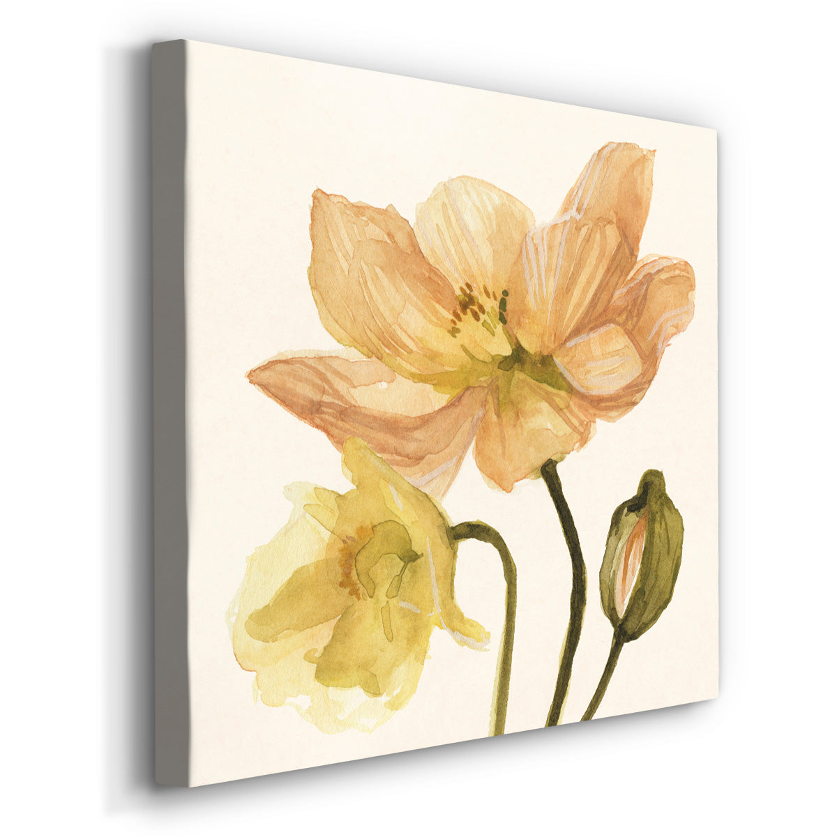 Highpoint Poppies II-Premium Gallery Wrapped Canvas - Ready to Hang