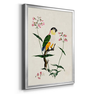 Sepia Botanical Journal I - Modern Framed Canvas Print