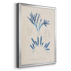 Blue Marine Algae I Premium Framed Print - Ready to Hang
