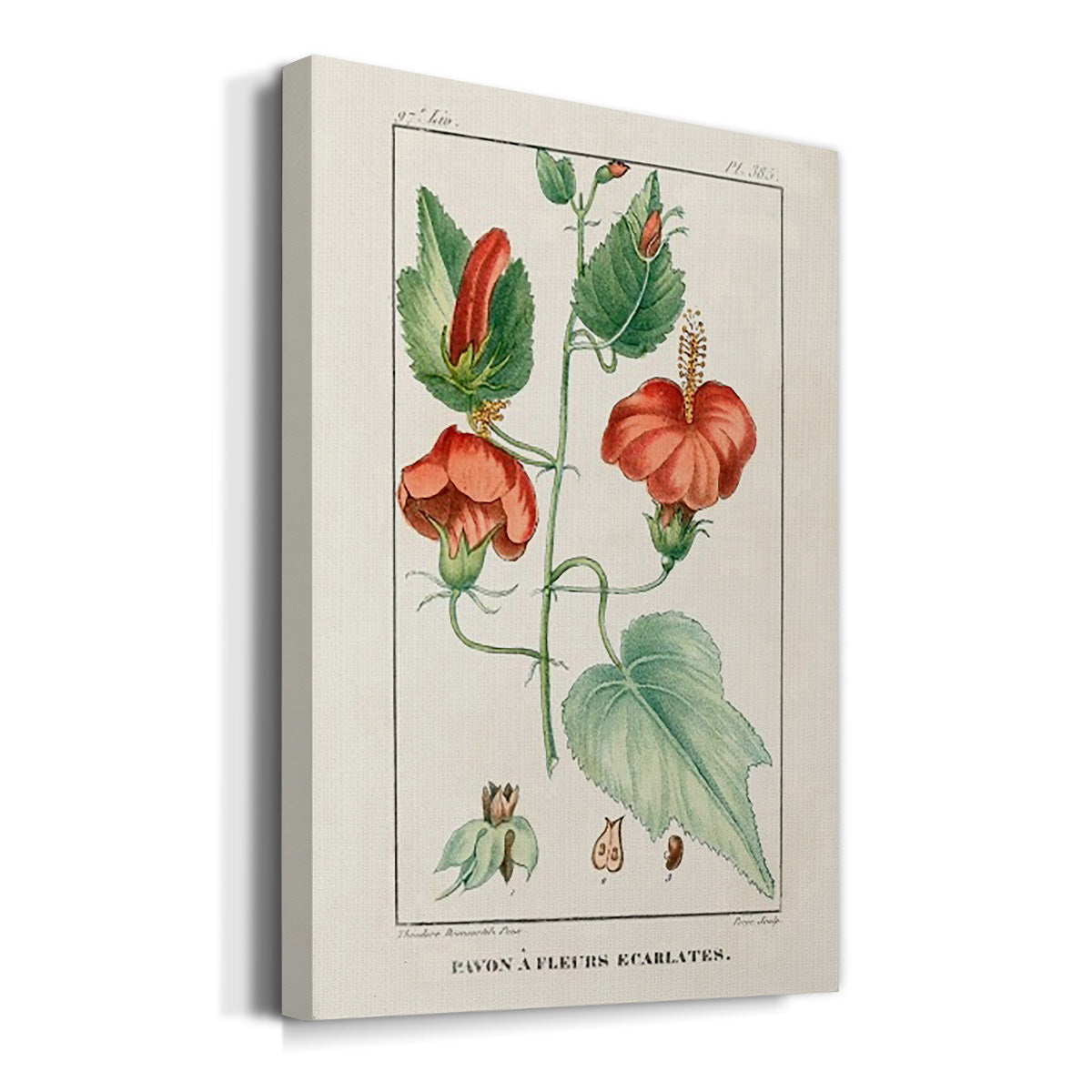Turpin Tropical Botanicals IV Premium Gallery Wrapped Canvas - Ready to Hang