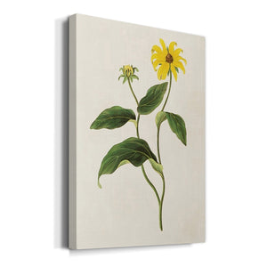 Flowers of the Seasons X Premium Gallery Wrapped Canvas - Ready to Hang
