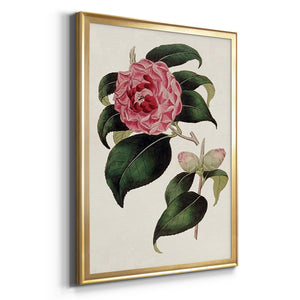 Pink Floral Mix III Premium Framed Print - Ready to Hang