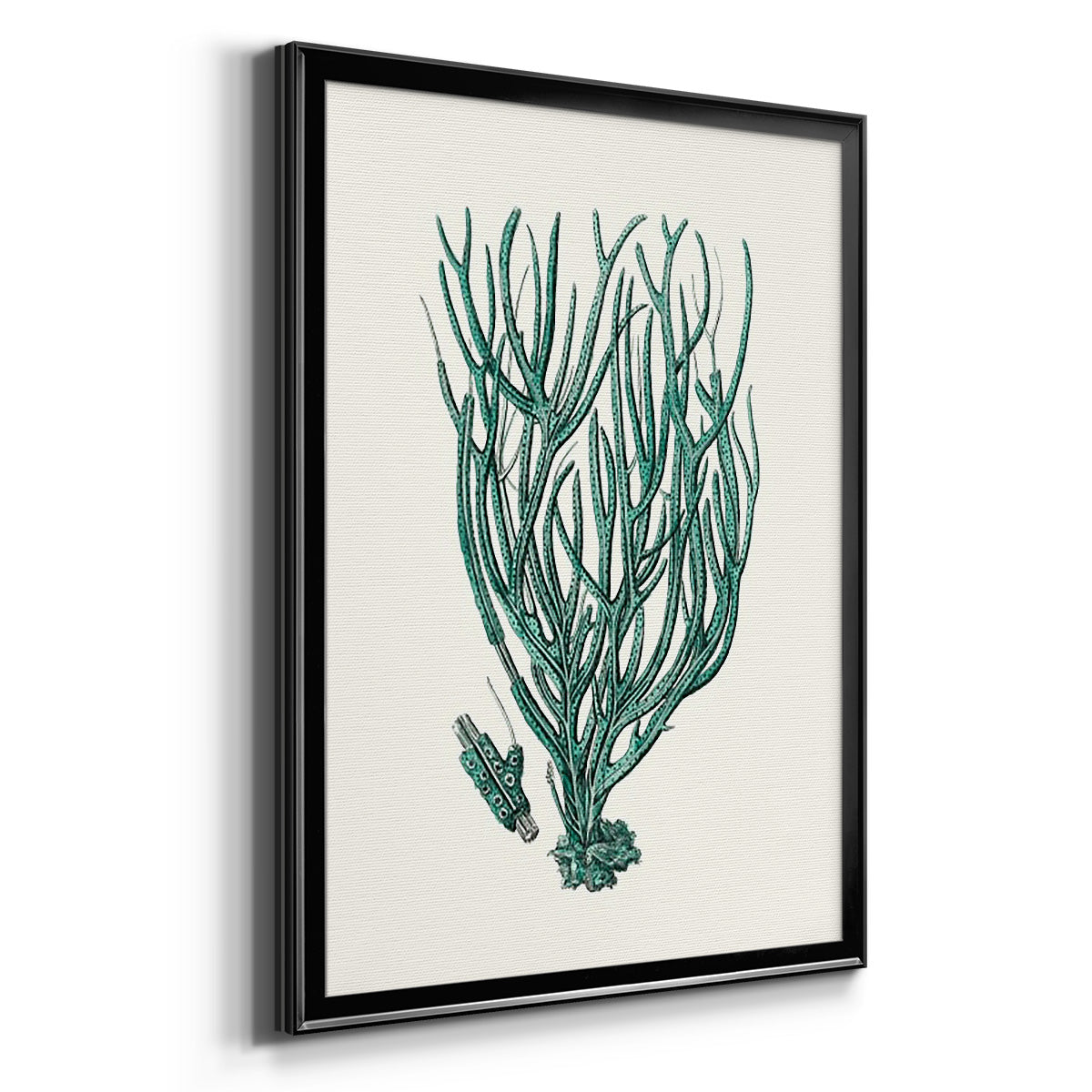 Antique Coastal Coral VIII Premium Framed Print - Ready to Hang