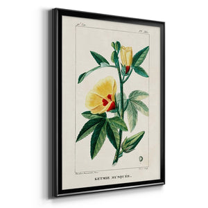 Turpin Tropical Botanicals VI Premium Framed Print - Ready to Hang
