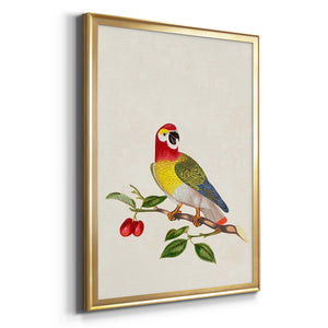 Bird in Habitat VI Premium Framed Print - Ready to Hang