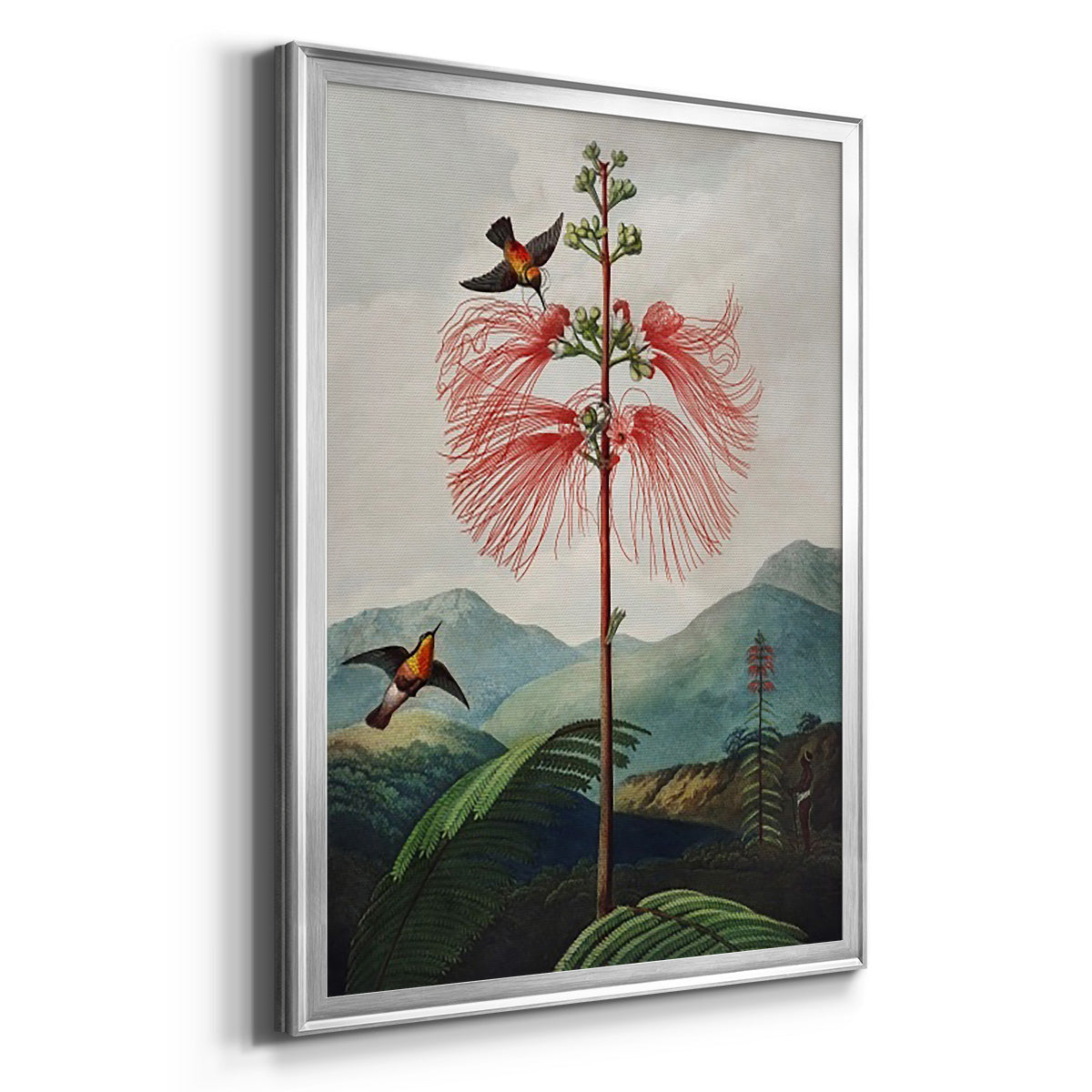 Temple of Flora VIII Premium Framed Print - Ready to Hang