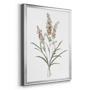 Dainty Botanical I Premium Framed Print - Ready to Hang