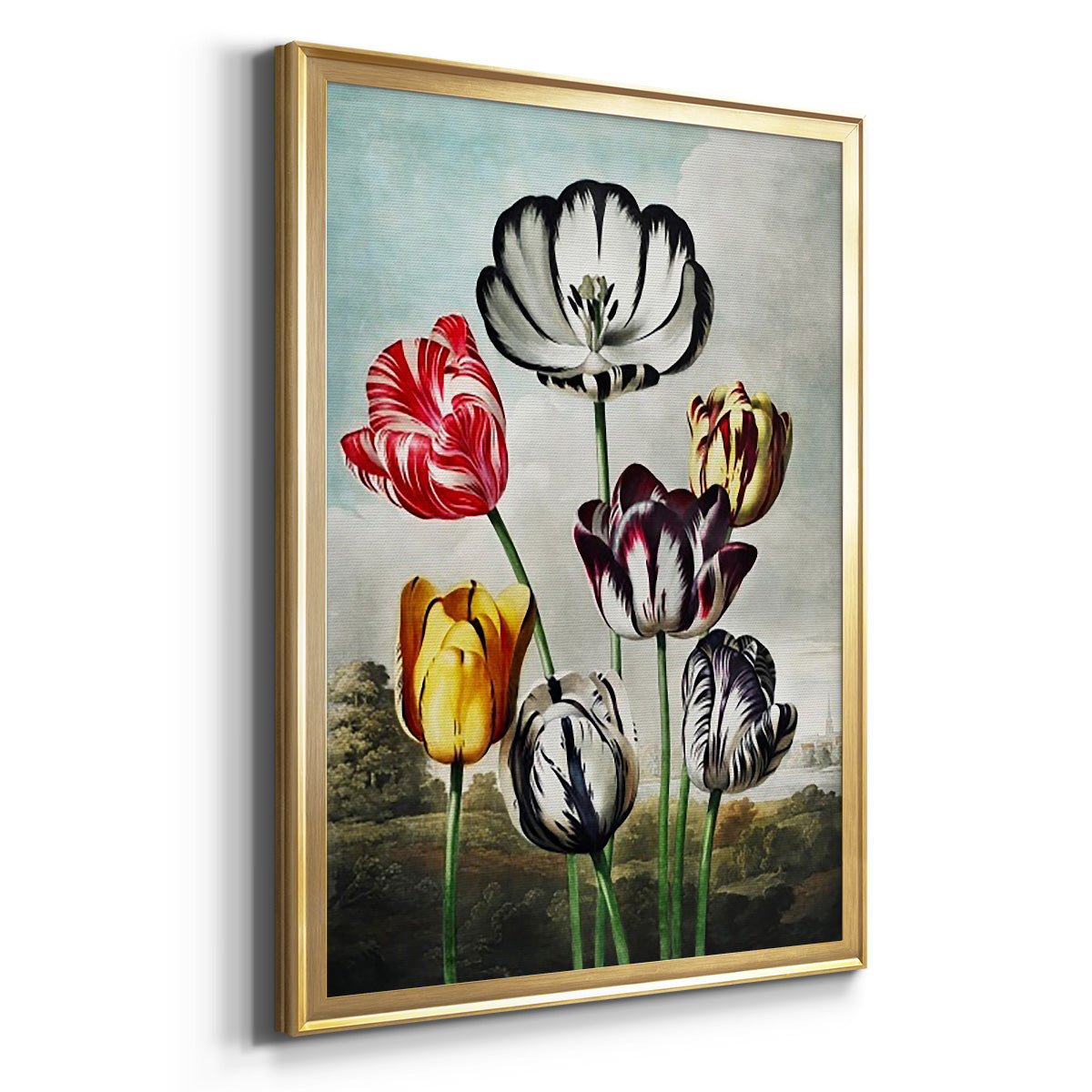 Temple of Flora VI Premium Framed Print - Ready to Hang