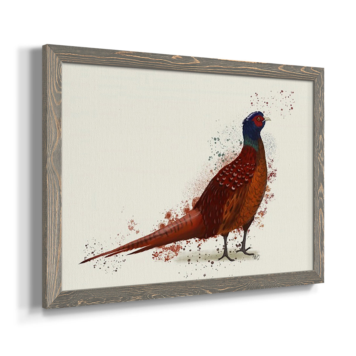 Pheasant Splash 4-Premium Framed Canvas - Ready to Hang