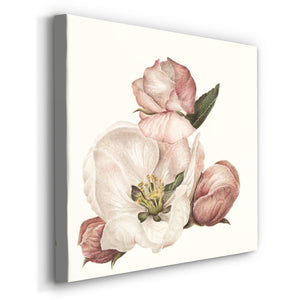 Enlightenment Blossom IV-Premium Gallery Wrapped Canvas - Ready to Hang