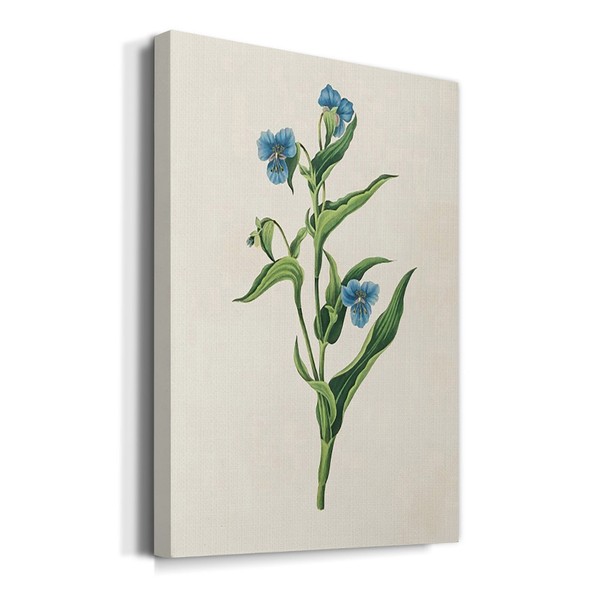 Flowers of the Seasons V Premium Gallery Wrapped Canvas - Ready to Hang