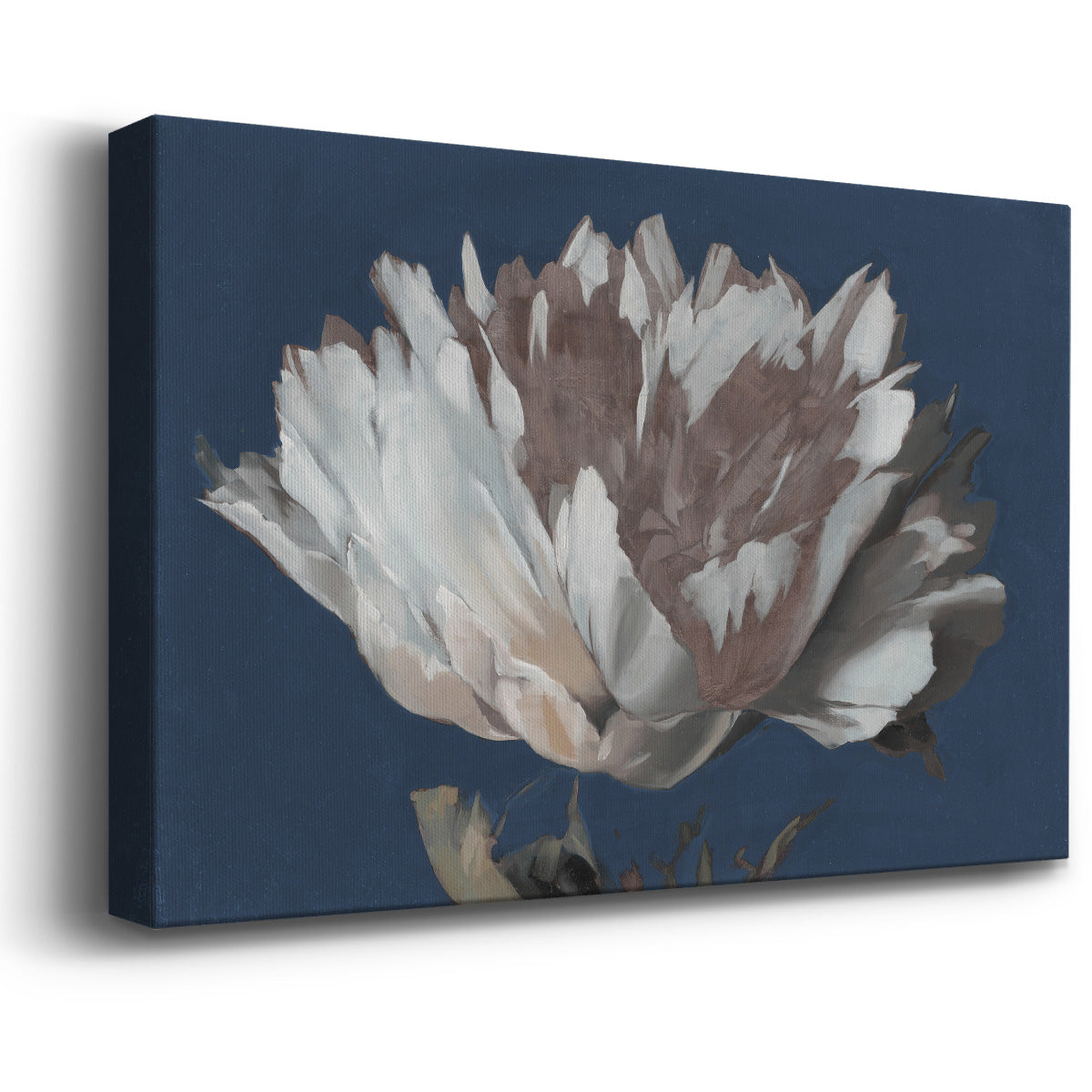 White Peony Premium Gallery Wrapped Canvas - Ready to Hang